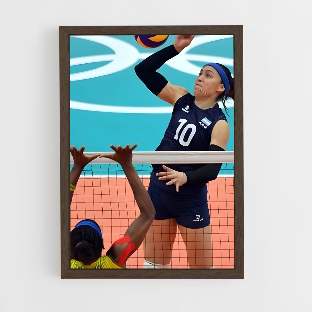 Poster Équipe de Volleyball Argentine (vue 5)